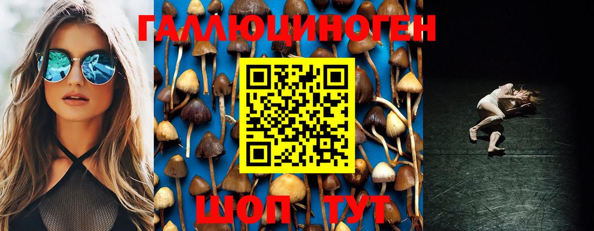 наркотики  Вход с VPN  Рязань  Галлюциногенные грибы Psilocybe 